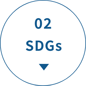 02 SDGs